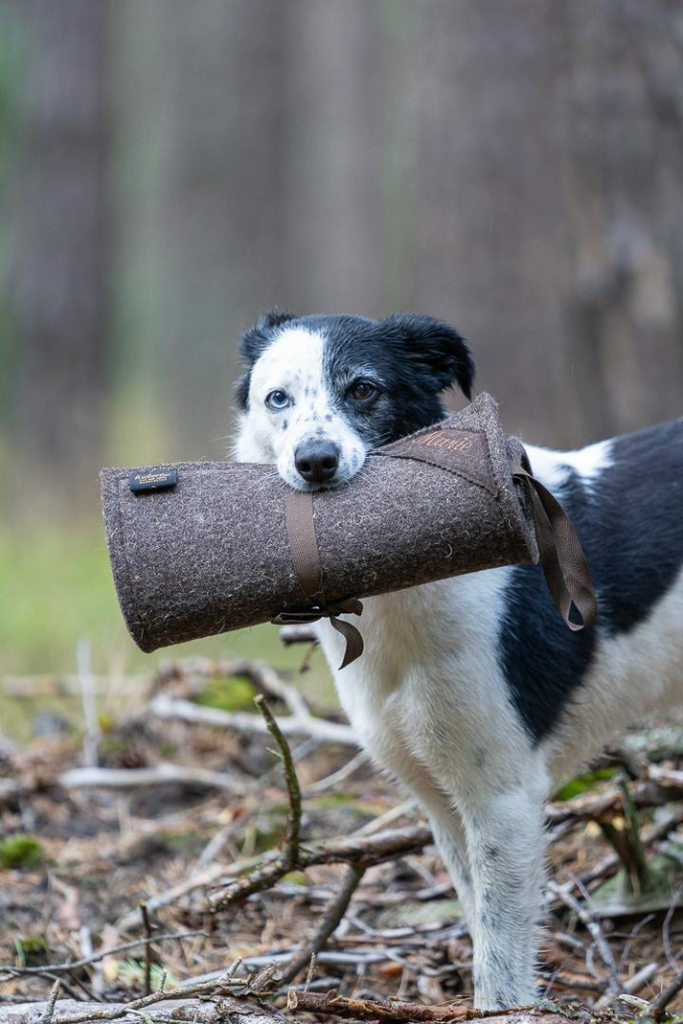 Sitzfilz Jäger